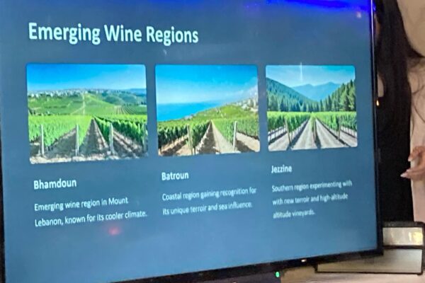 WhatsApp Image 2026-01-18 at 19.23.01 (2)