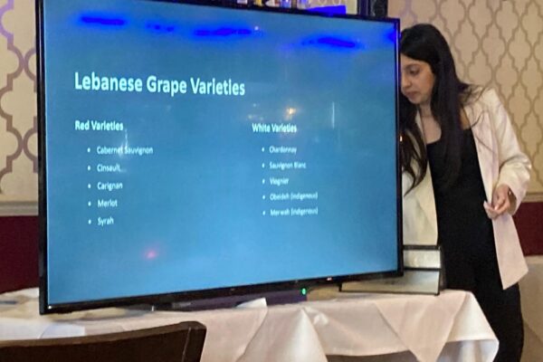 WhatsApp Image 2026-01-18 at 19.23.01 (4)