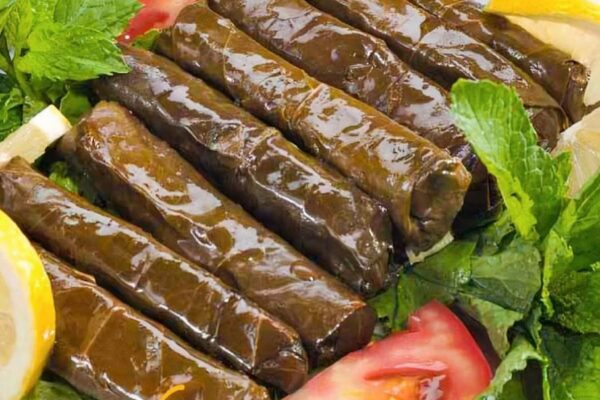 WhatsApp Image 2026-01-19 at 15.05.57